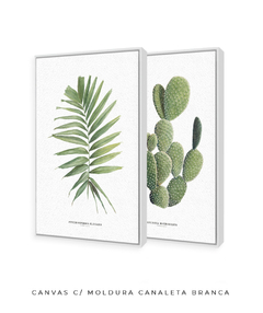 Imagem do Quadros Decorativos Dupla Palm Elegans + Opuntia