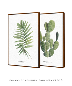 Quadros Decorativos Dupla Palm Elegans + Opuntia - Flowersjuls - Quadros decorativos botânicos | Aquarelas autorais