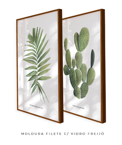 Quadros Decorativos Dupla Palm Elegans + Opuntia - Flowersjuls - Quadros decorativos botânicos | Aquarelas autorais