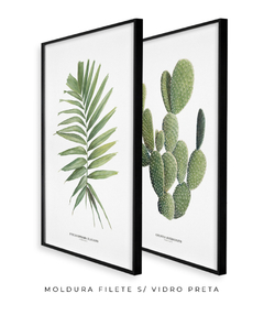 Quadros Decorativos Dupla Palm Elegans + Opuntia - loja online