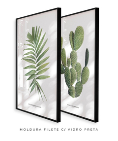 Imagem do Quadros Decorativos Dupla Palm Elegans + Opuntia