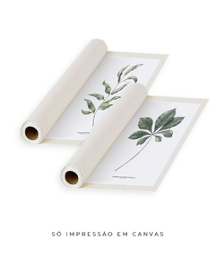 Quadros Decorativos Eucalipto I + Tabebuia - Flowersjuls - Quadros decorativos botânicos | Aquarelas autorais