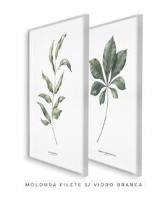 Quadros Decorativos Eucalipto I + Tabebuia - Flowersjuls - Quadros decorativos botânicos | Aquarelas autorais