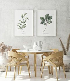 Quadros Decorativos Eucalipto I + Tabebuia