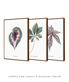 Trio Quadro Decorativo Begonia Rex + Tabebuia + Begonia Grandis - comprar online