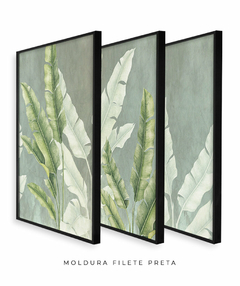 Trio Quadro Decorativo Composição Helicônias - Flowersjuls - Quadros decorativos botânicos | Aquarelas autorais