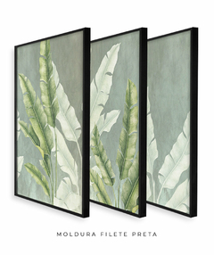 Trio Quadro Decorativo Composição Helicônias - Flowersjuls - Quadros botânicos decorativos | Aquarelas autorais