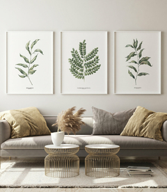 Trio Quadro Decorativo Eucalipto I + Pau Brasil + Eucalipto II