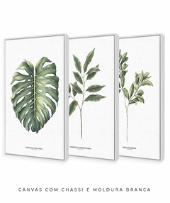 Trio Quadro Decorativo Galho Gardênia + Monstera + Oliveira - Flowersjuls - Quadros decorativos botânicos | Aquarelas autorais