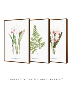 Imagem do Trio Quadro Decorativo Orquídea Reginae + Avenca II + Orquídea Carnea