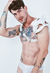 Harness Gladiador - loja online