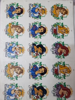 Calcos para porcelana 750 grs princesas