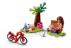 Lego Friends Park Picnic 44 Piezas 30412 - comprar online