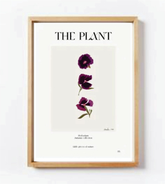 SET TRIPLE SERIE THE PLANT #2 - comprar online