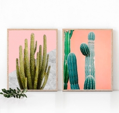 SET DÚO BOTÁNICO cactus I y II