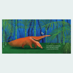 Vamos a la Selva - Libros que te encuentran | Literatura Infantil