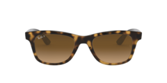 Imagen de RAY BAN 4640 710/M2 50