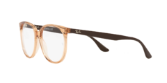 RAY BAN 4378VL 8172 54 en internet