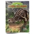 Livro Dinossauros com Miniatura Articulada: Anquilossauro - Bom Bom Books