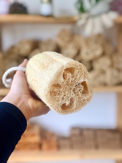 Esponja vegetal de luffa