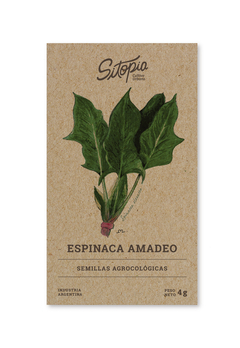 SEMILLAS DE ESPINACA - comprar online