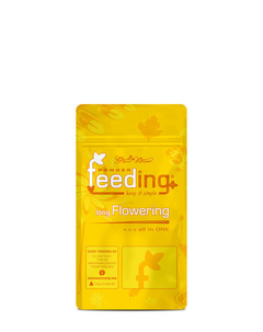 LONG FLOWERING - POWDER FEEDING - GREENHOUSE