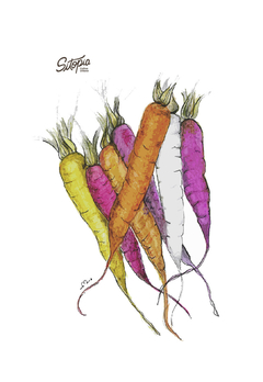 SEMILLAS DE ZANAHORIAS DE COLORES