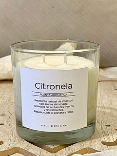 Queen Citronella