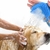 Mangueira Ducha Massageadora Banho Cães E Gatos