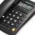 Teléfono fijo de linea Noblex NCT300 - comprar online