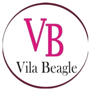 Moldes Vila Beagle