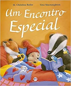 livro Um encontro especial