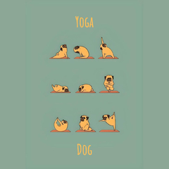 Ímã - yoga dog - comprar online