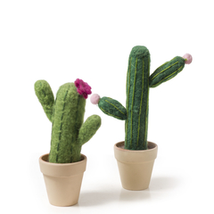 Macetitas Decorativas Cactus