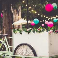 Bicicleta Puesto de Helados Decorativa