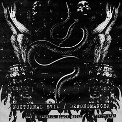 Nocturnal Evil / Demonomancer ?- Raw And Hateful Black Metal (7" EP)