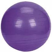 Bola Suíça 55cm