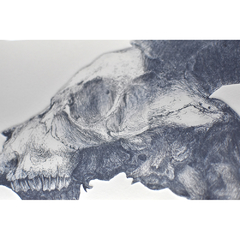 Rafael Kenji gravura em metal paisagem montanha patagonia bode cranio azul alquimia