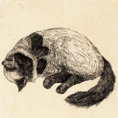 Rafael Kenji gravura em metal gata gato