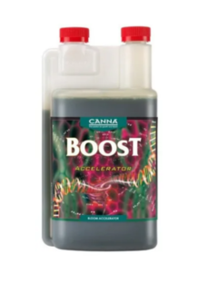 BOOST CANNA 125 ML ACELERATOR