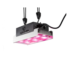 LED SPECLED 300W