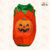 CONJUNTO PUMPKIN