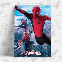 /CUADRO_SPIDERMAN