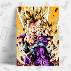 CUADRO_DRAGON_BALL_Gohan_SSJ2