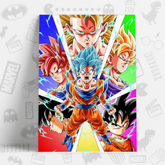 CUADRO_DRAGON_BALL_Z_goku_fases