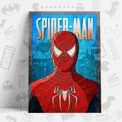 /CUADRO_SPIDERMAN