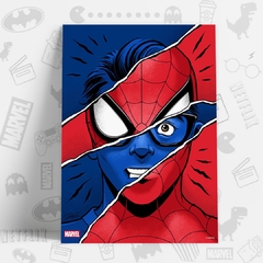 /CUADRO_SPIDERMAN