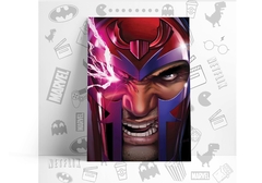 /CUADRO_X-MEN_Magneto_face