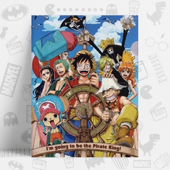 /CUADRO_OnePiece30