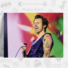 Cuadro_HarryStyles7